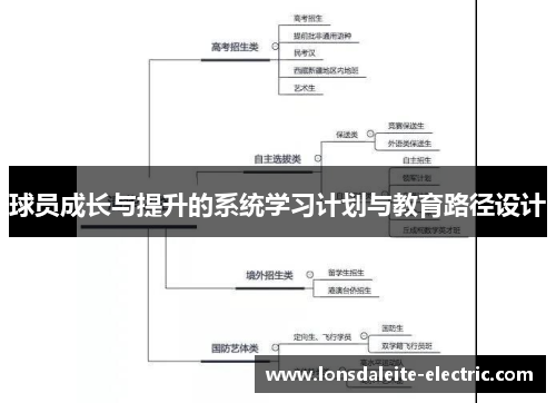 球员成长与提升的系统学习计划与教育路径设计