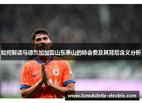 如何解读马德鲁加加盟山东泰山的转会费及其背后含义分析