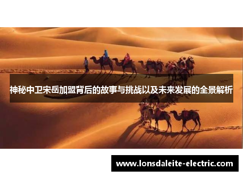 神秘中卫宋岳加盟背后的故事与挑战以及未来发展的全景解析